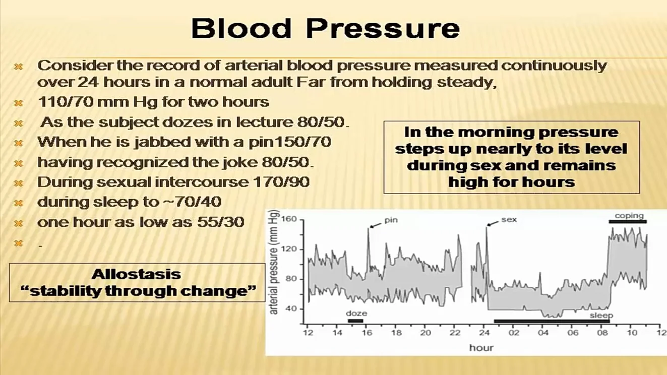 Blood Pressure Curve 24 Hrs