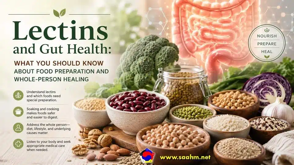 Lectins and Gut Health: Safe Preparation and Holistic Support
